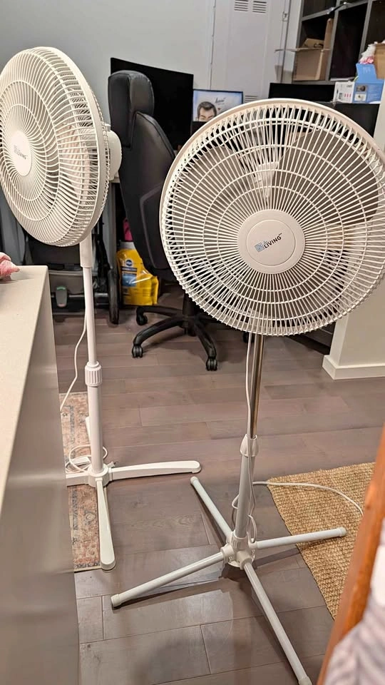 Fan (2 units)