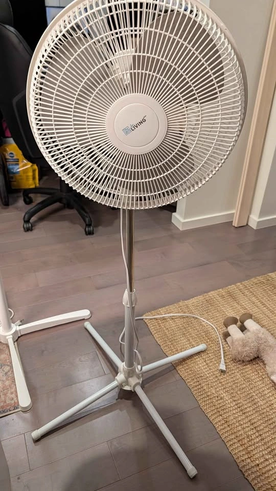Fan (2 units) - photo 2