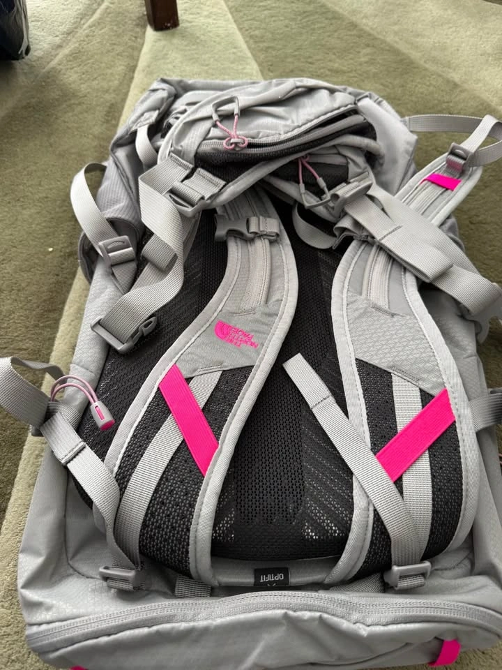 The North Face Alea Backpack Grey Pink - photo 2