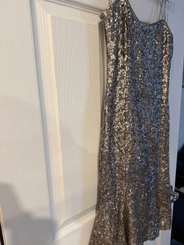 New Silver Sequin Spaghetti Strap Dress by Banana Republic - photo 4