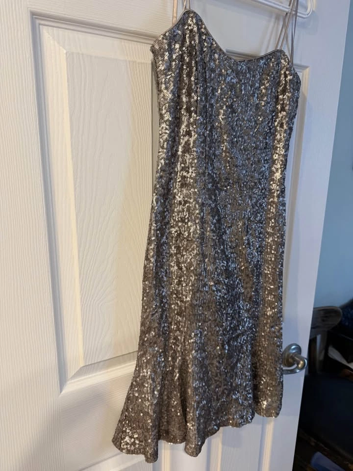 New Silver Sequin Spaghetti Strap Dress by Banana Republic - photo 5