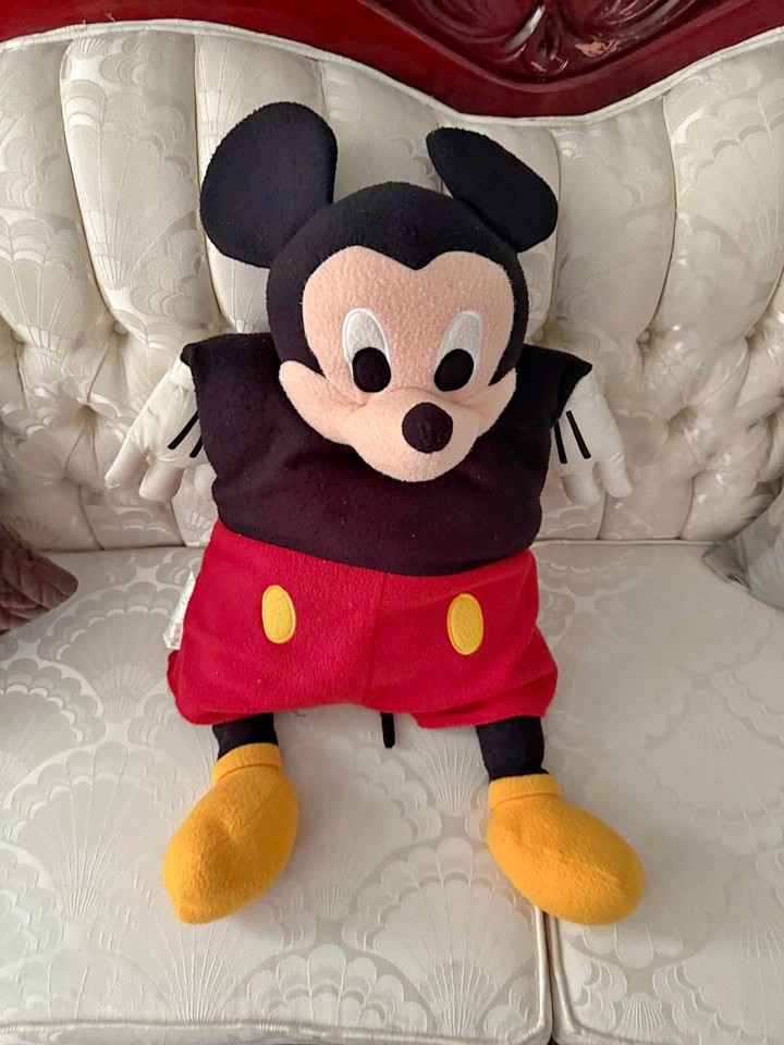 Mickey Mouse Sleeping Bag Vintage