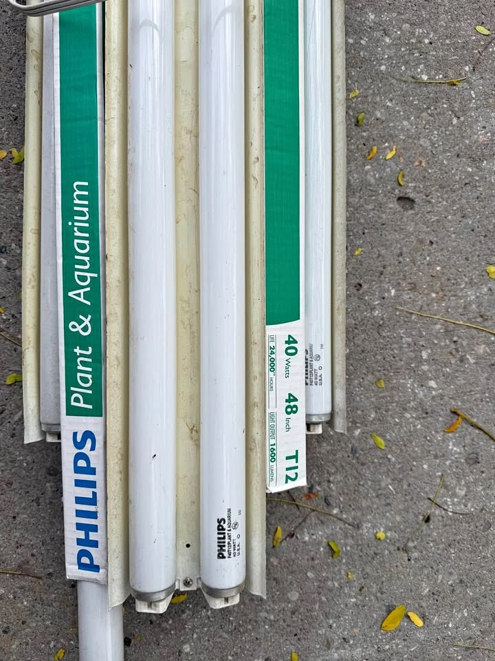 Philips Plant & Aquarium 40W 48in T12 Fluorescent Lights