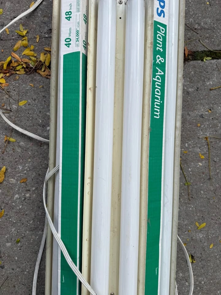 Philips Plant & Aquarium 40W 48in T12 Fluorescent Lights - photo 2