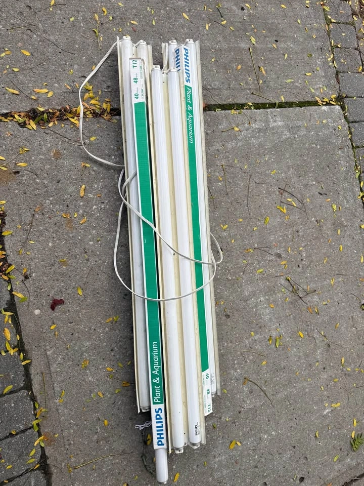 Philips Plant & Aquarium 40W 48in T12 Fluorescent Lights - photo 3