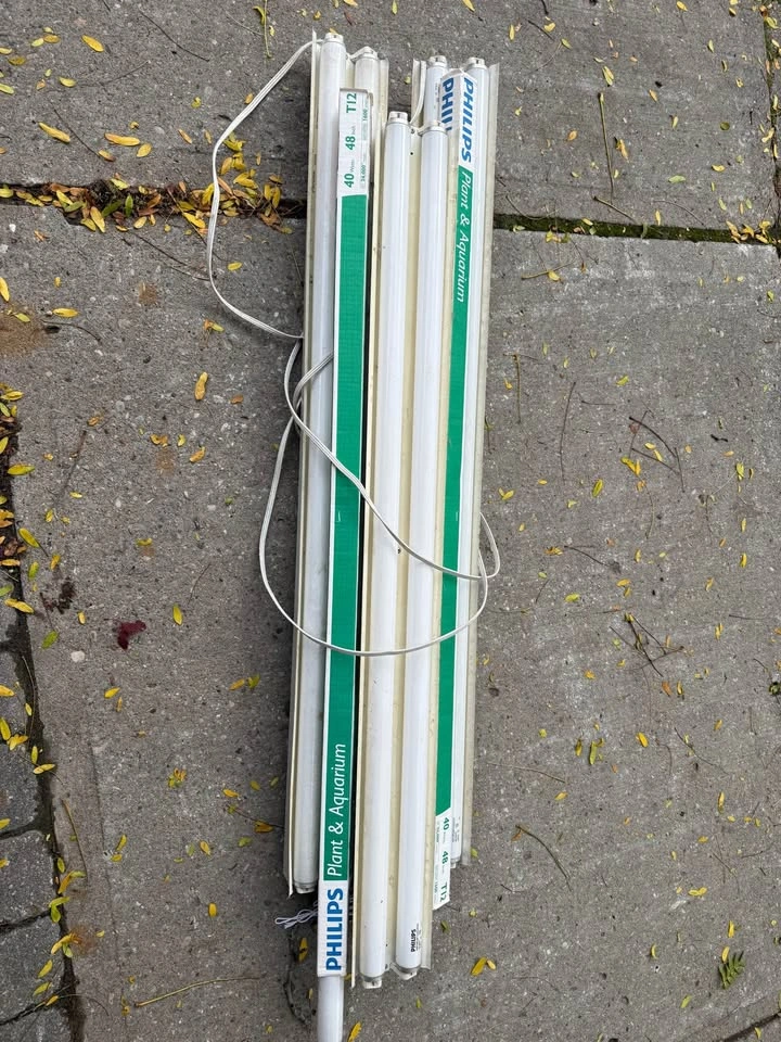 Philips Plant & Aquarium 40W 48in T12 Fluorescent Lights - photo 4