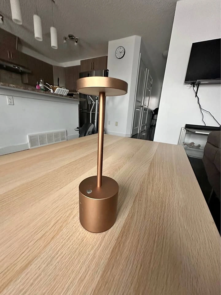 Bronze Modern Table Lamp