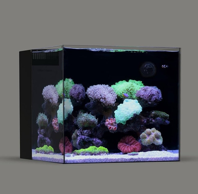 LANDEN 45P 15 Gallon Ultra Clear Rimless Aquarium
