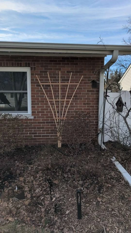 Handmade Cedar Garden Trellis - photo 2