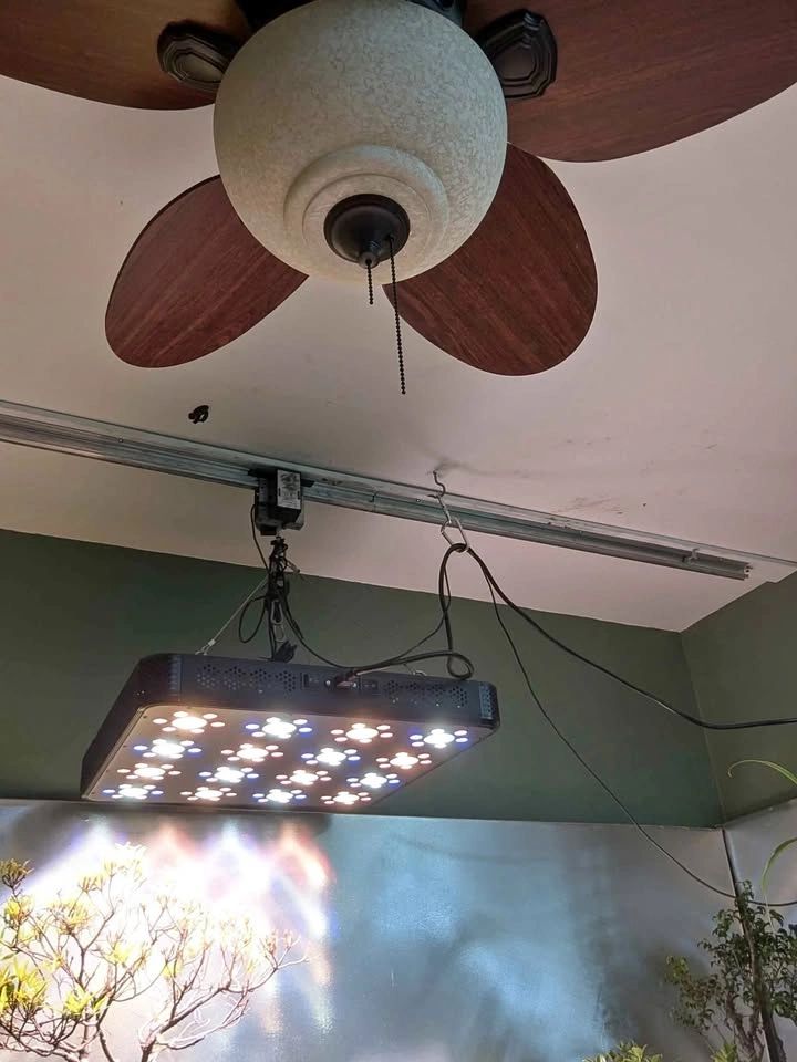 500w LED Grow Light with Light Rail System (1000w Equivalent)