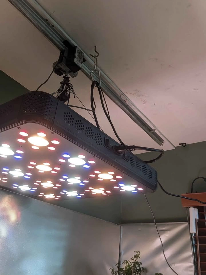 500w LED Grow Light with Light Rail System (1000w Equivalent) - photo 2