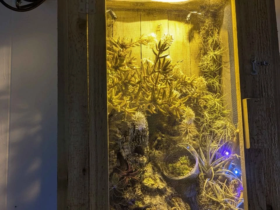 150 watt hps pendent and brand new extra bulb grow light - photo 2