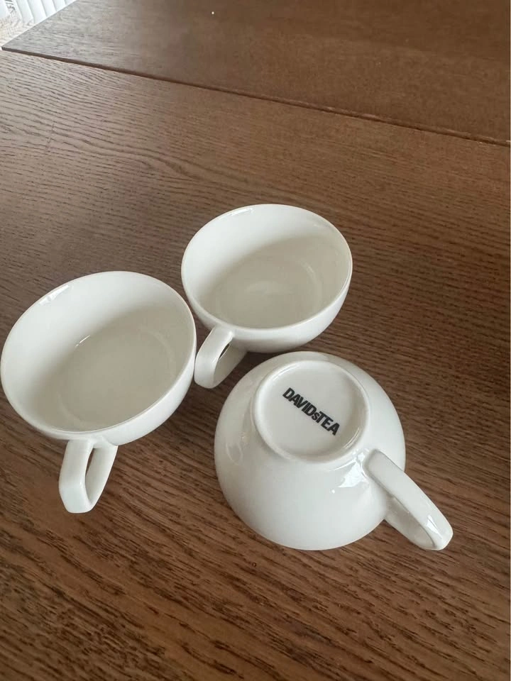 DAVIDsTEA Teapot & Cup Set - photo 3