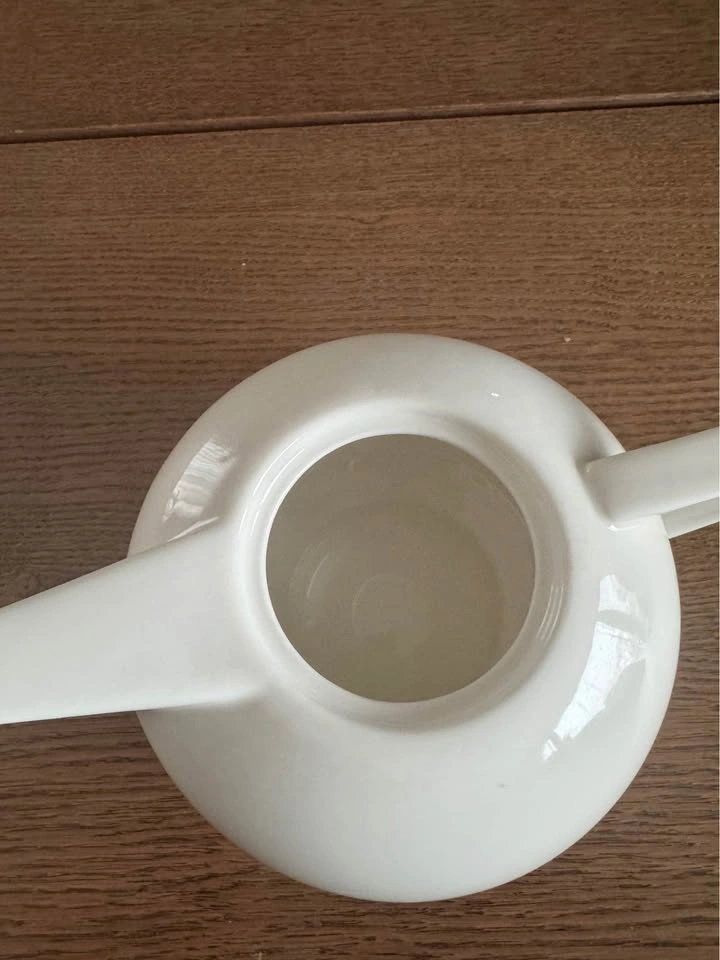 DAVIDsTEA Teapot & Cup Set - photo 4