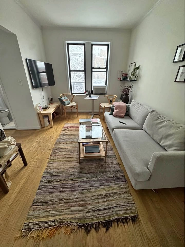 Woven Multicolor Area Rug / Carpet