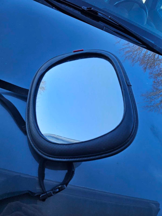 Skip Hop Car Mirror