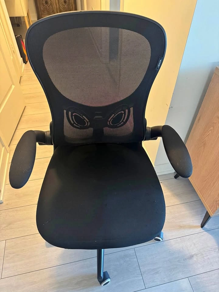 Ergonomic Office Chair with Movable Arms