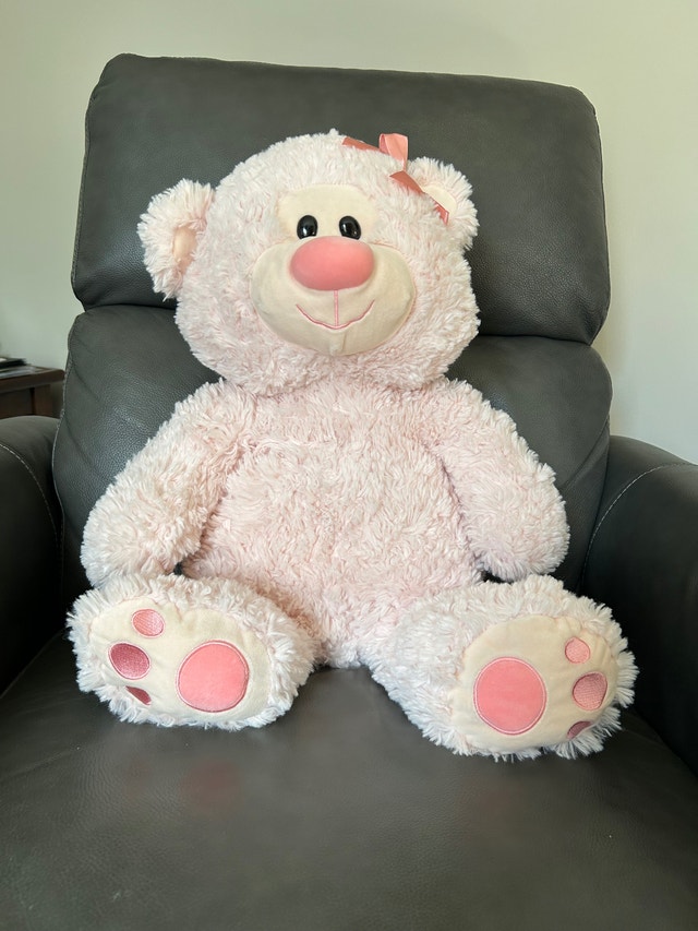 Cute & Cuddly Pink Large Teddy Bear, 22” long (Brampton)