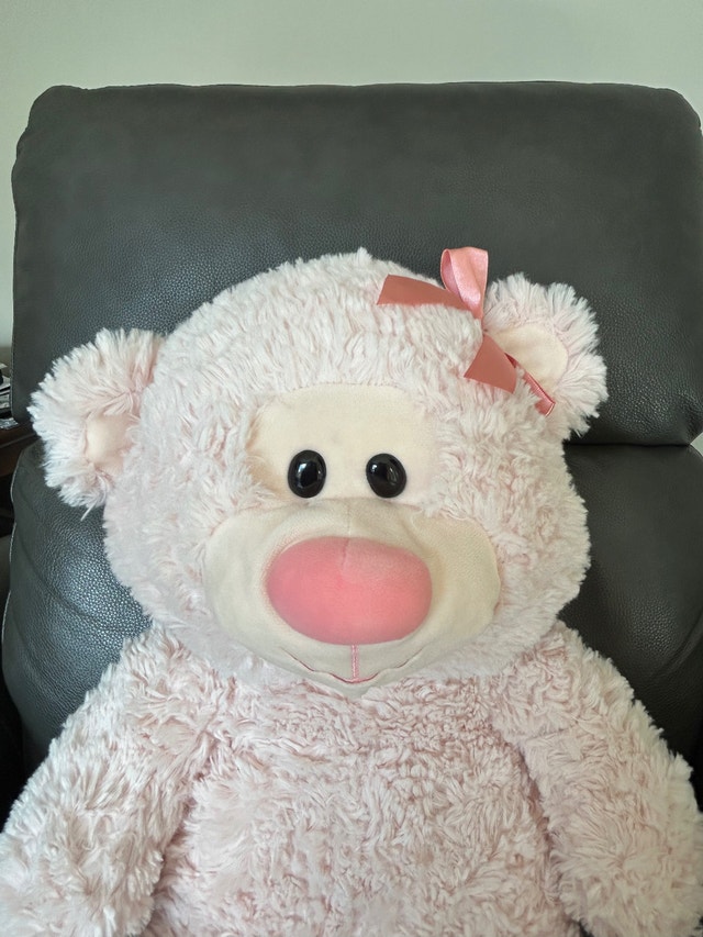 Cute & Cuddly Pink Large Teddy Bear, 22” long (Brampton) - photo 2