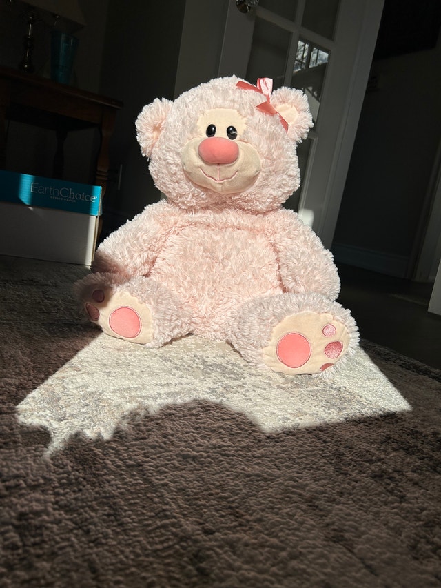 Cute & Cuddly Pink Large Teddy Bear, 22” long (Brampton) - photo 3