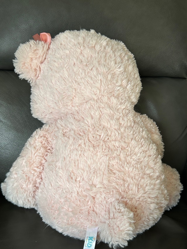 Cute & Cuddly Pink Large Teddy Bear, 22” long (Brampton) - photo 5