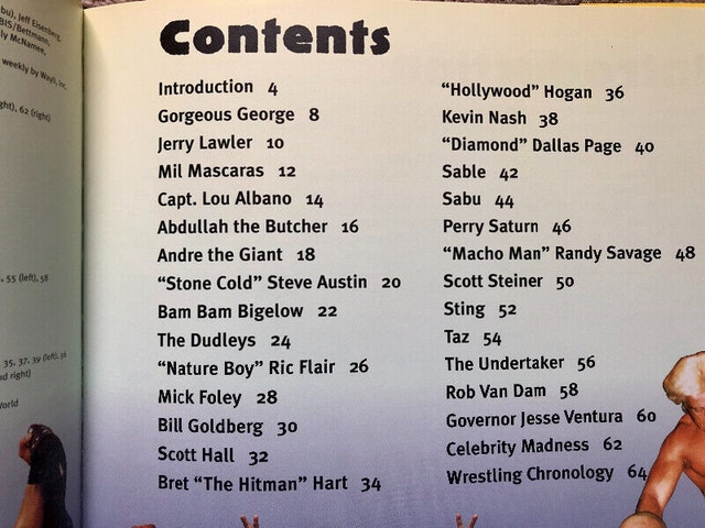 Wrestling Madness Book, 1999 - photo 4