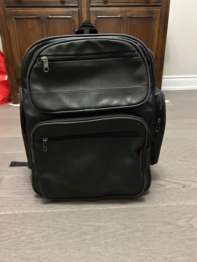 Backpack, Leather Look and Feel (Brampton)