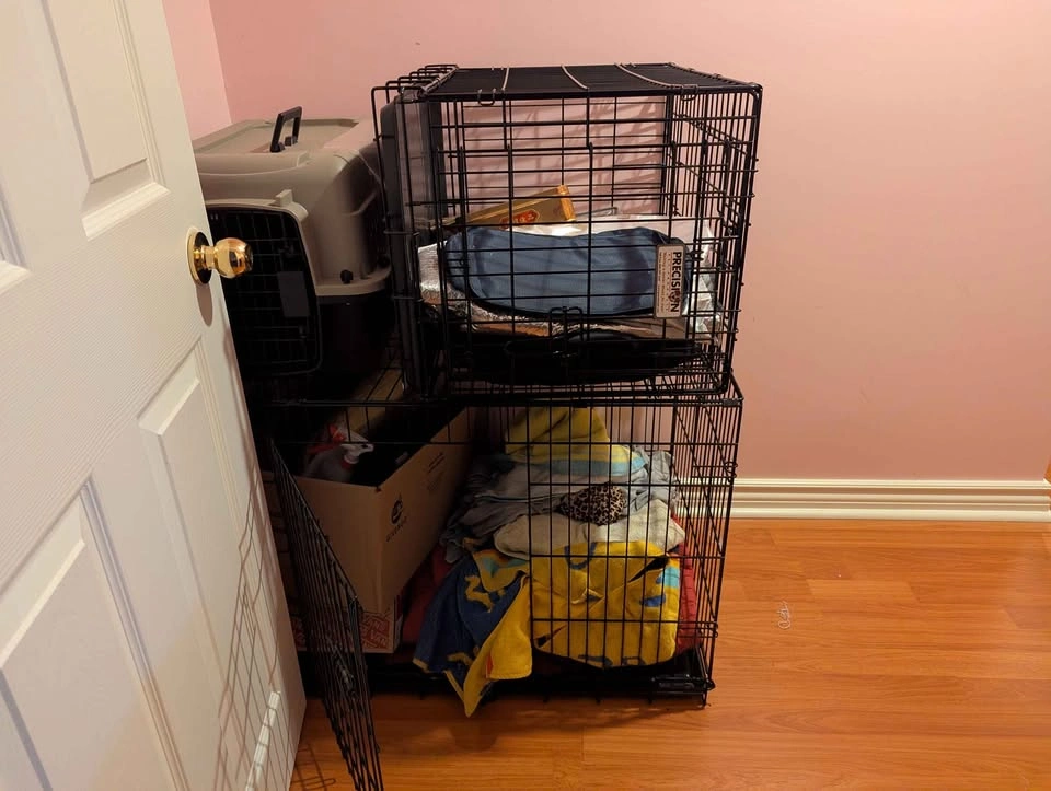Pet Carriers & Crates Various Sizes Good Condition - photo 5