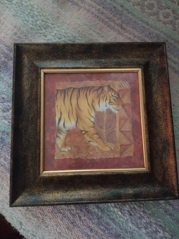 Tiger framed picture