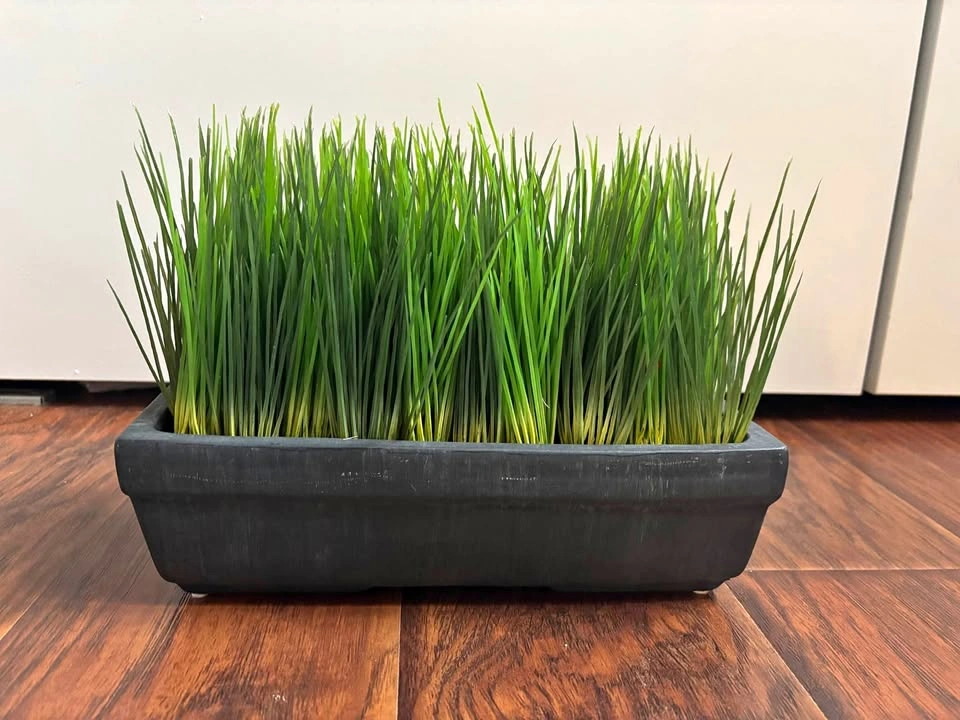 Artificial green spikes in black clay pot