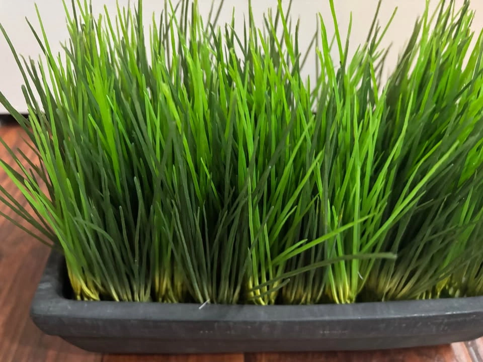 Artificial green spikes in black clay pot - photo 3