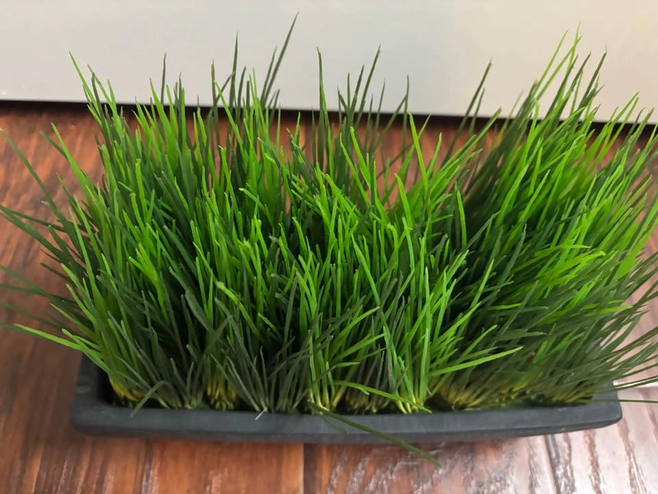 Artificial green spikes in black clay pot - photo 4