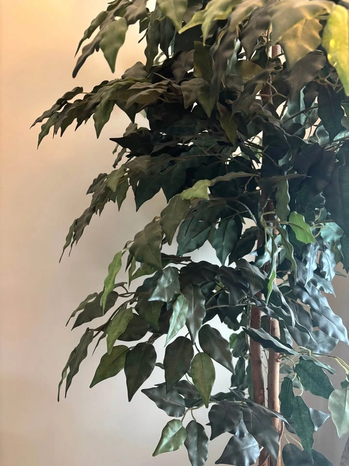 6FT Artificial Potted Ficus Tree - photo 2