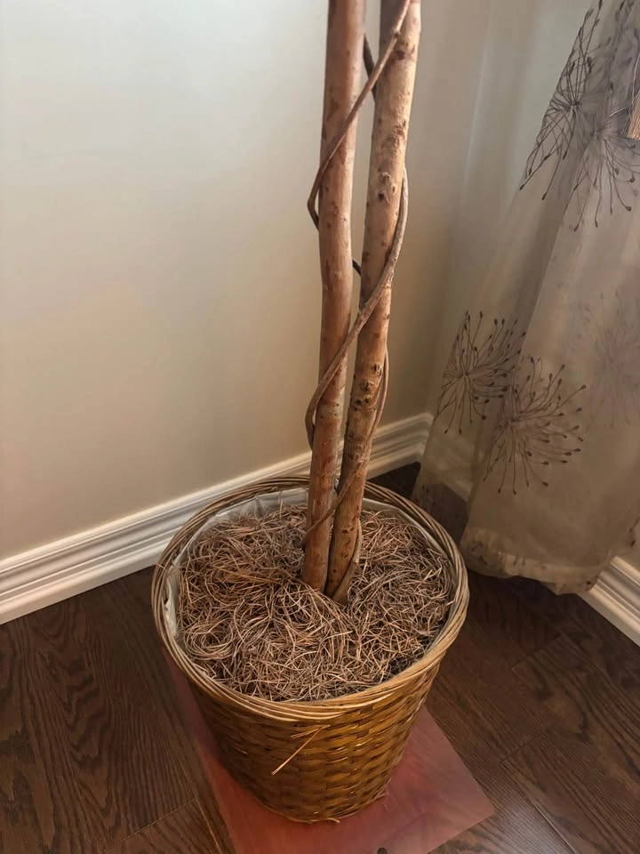 6FT Artificial Potted Ficus Tree - photo 4