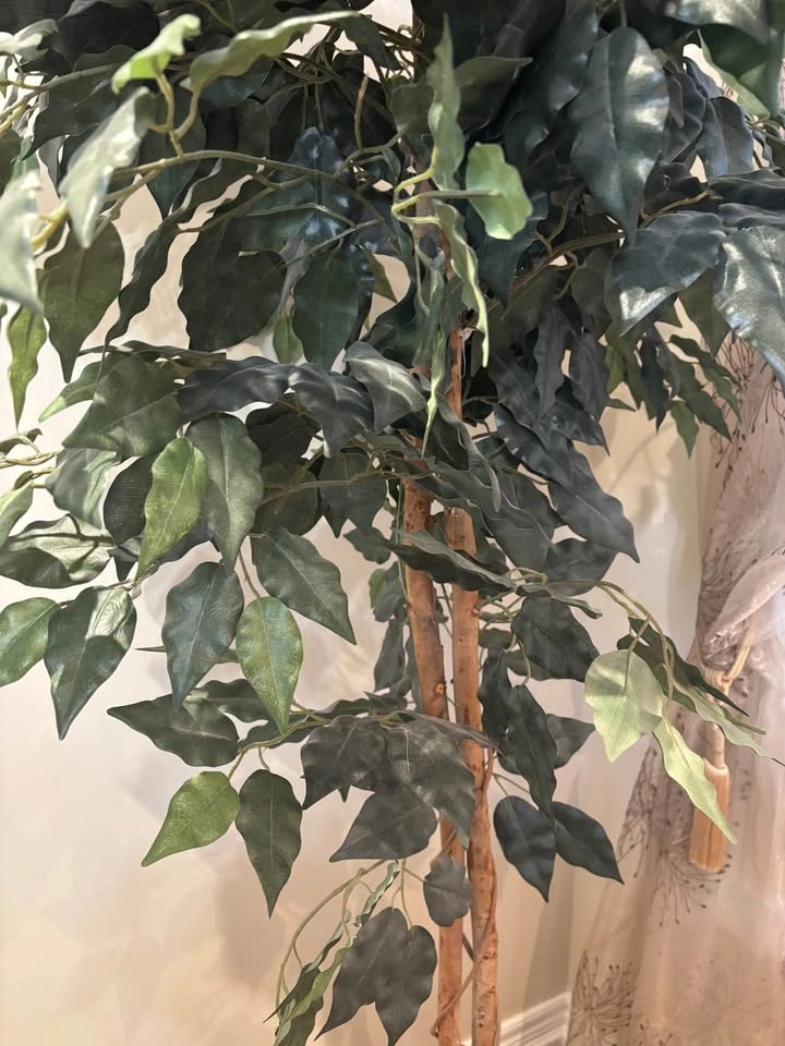 6FT Artificial Potted Ficus Tree - photo 5