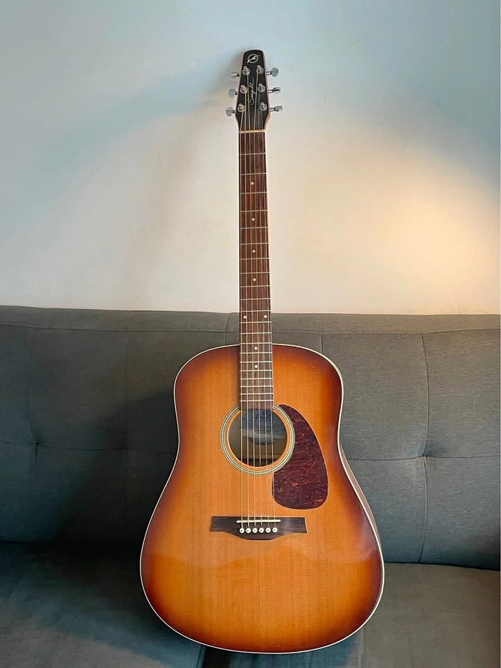Seagull Coastline S6 Acoustic Guitar with Case