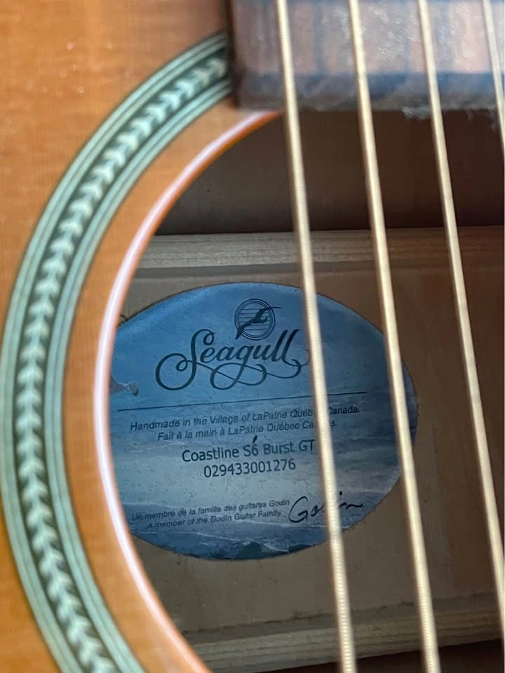 Seagull Coastline S6 Acoustic Guitar with Case - photo 2