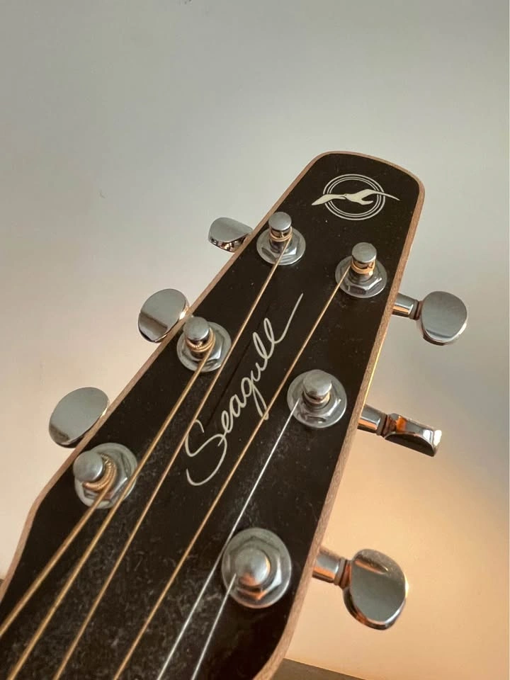 Seagull Coastline S6 Acoustic Guitar with Case - photo 4