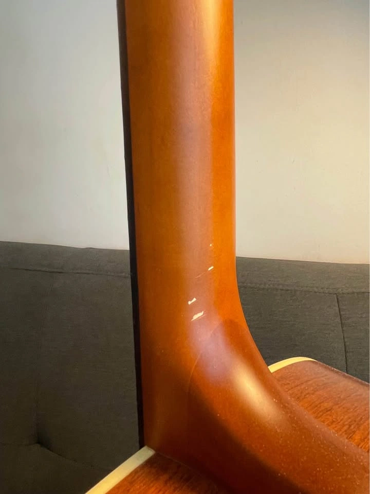 Seagull Coastline S6 Acoustic Guitar with Case - photo 5