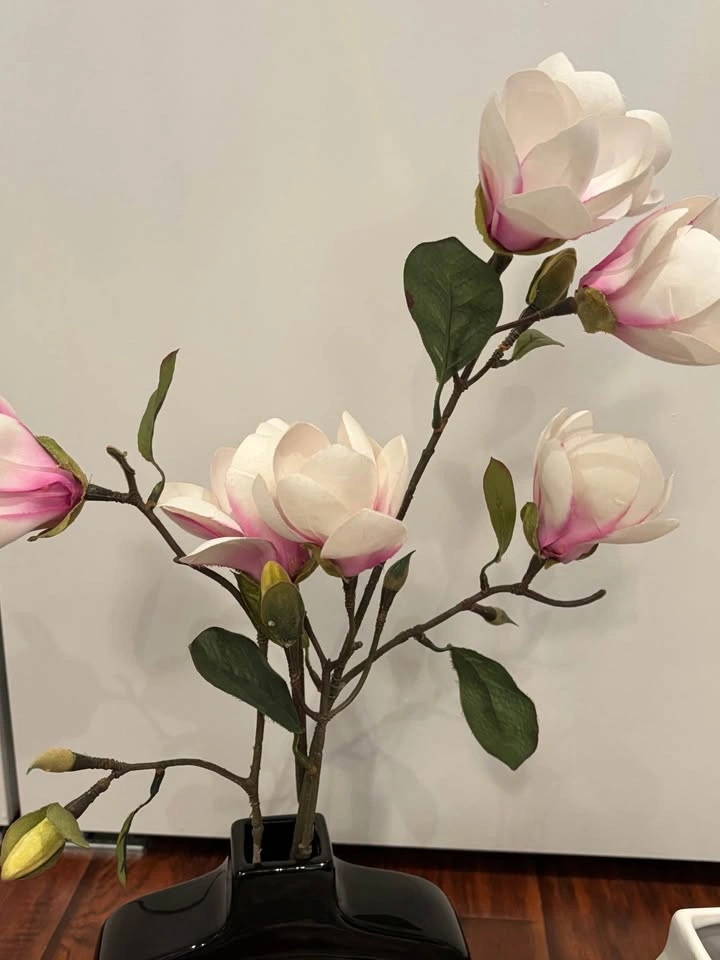 Vases - 2 - photo 3