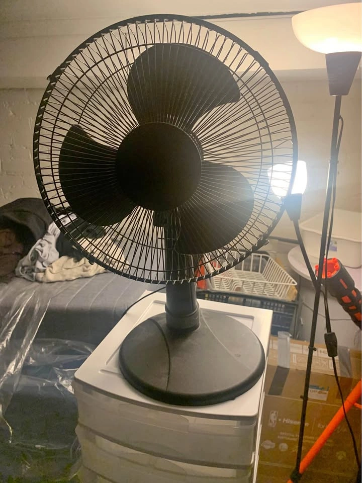TABLE FAN / BEDSIDE FAN - MOVING OUT SALE