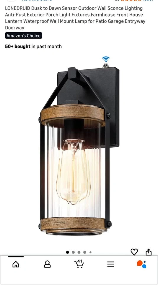 Outdoor Wall Scone Light