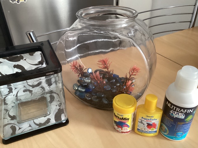 Fish Bowls, Food, and Water Treatment