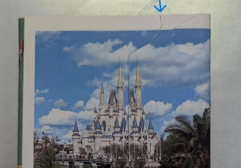 VINTAGE WALT DISNEY WORLD 26 "POST CARD" PHOTO BOOKLET image indicator(9)