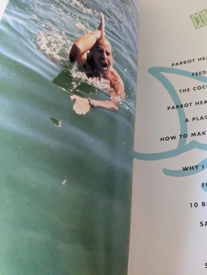 JIMMY BUFFETT 4 CD BOX SET image indicator(6)