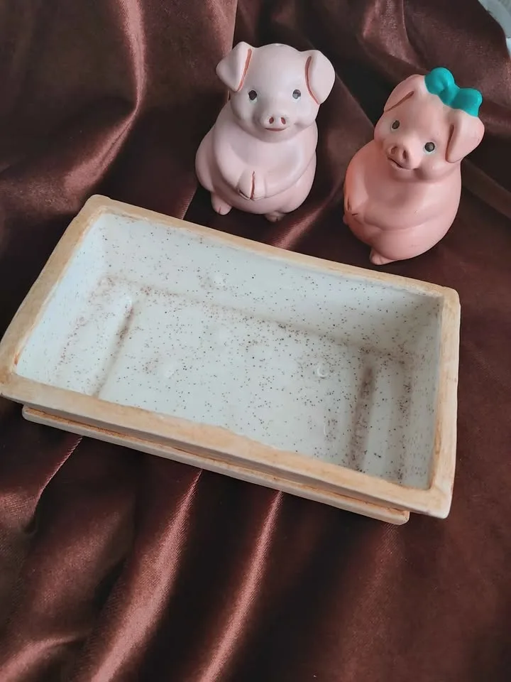 Vintage salt and pepper with tray image indicator(3)