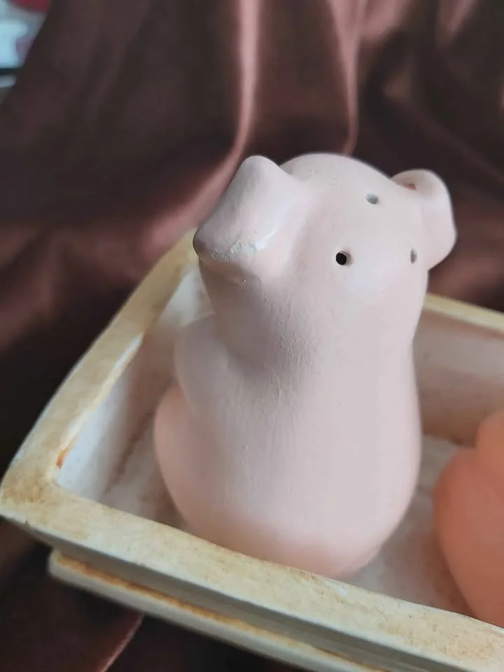 Vintage salt and pepper with tray image indicator(5)