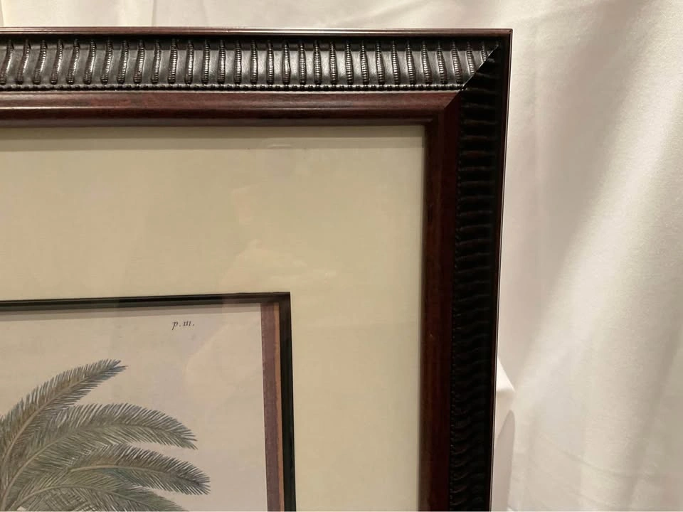 Dionysius Palms Print by George Dionysius Ehret - photo 4