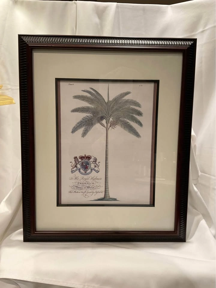 Dionysius Palms Print by George Dionysius Ehret - photo 5