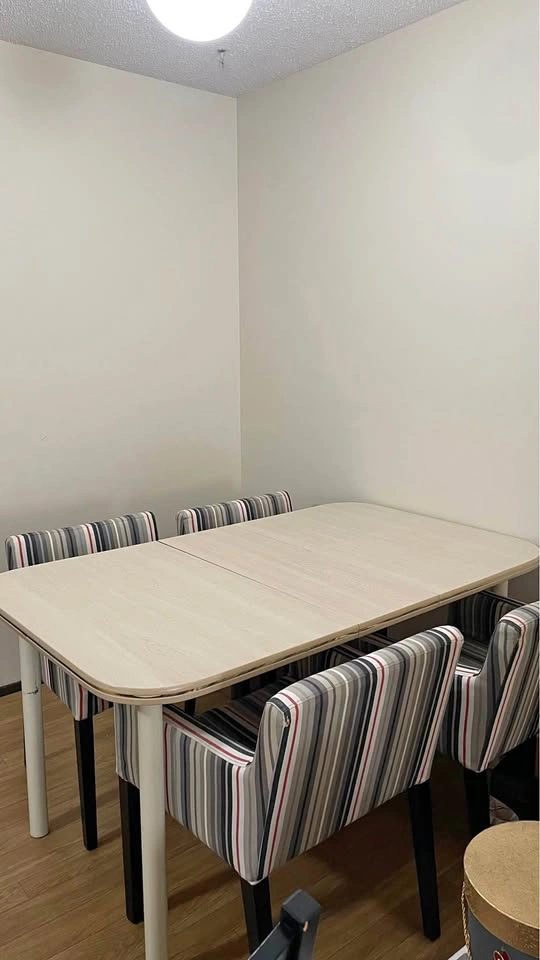 4 Dining Chairs + Free Table